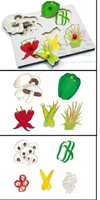 A delightful lift out peg puzzle which displays popular stirfry vegetables whole and prepared for cooking.  Ideal for healthy eating and five a day topics.  SAVE ALMOST 50% ON CATALOGUE PRICES
NOW ONLY 5.95 INC. VAT